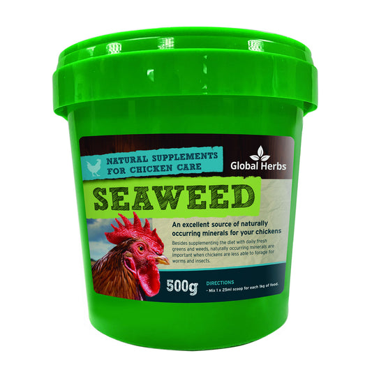Global Herbs Seaweed for Chickens 500g