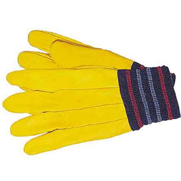 Gloves Drivers