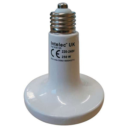 Intelec Dull Emitter Ceramic Infra- Heat Bulb