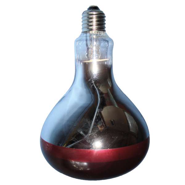 Intelec Hard Glass Infra-Red Heat Bulb 150 Watt