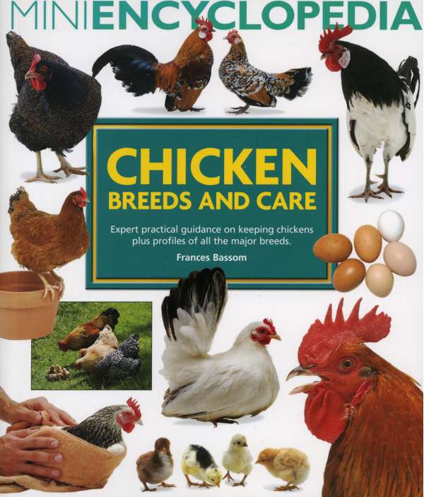 Interpet Pet Brands Encyclopedia Of Chicken Breeds & Care